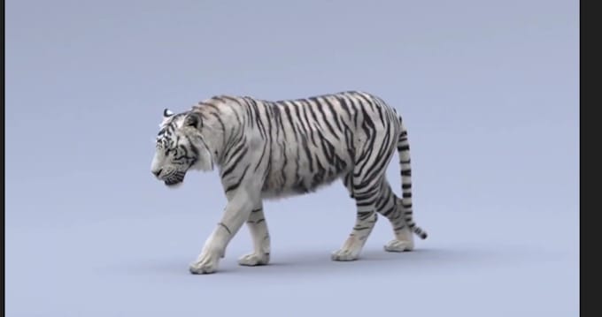 Gig Preview - Do realistic 3d animal model, 3d animal design, 3d animal animation, cgi, xgen