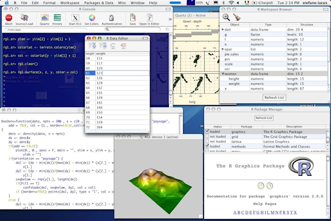 Gig Preview - Do r coding and programming