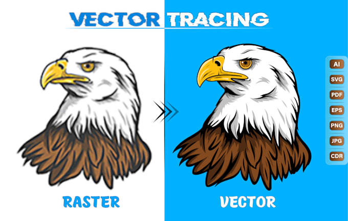 Gig Preview - Recreate, redesign, redraw logo or image by vector tracing