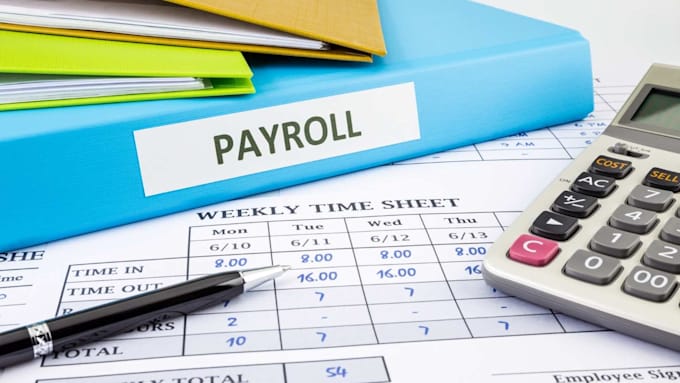 Gig Preview - Provide expert UK payroll management