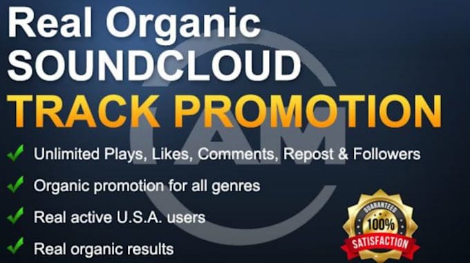 Gig Preview - Do premium organic promotion for your soundcloud tracks