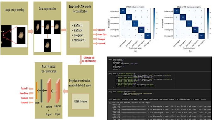 Gig Preview - Image classification, clustering, image processing, segmentation