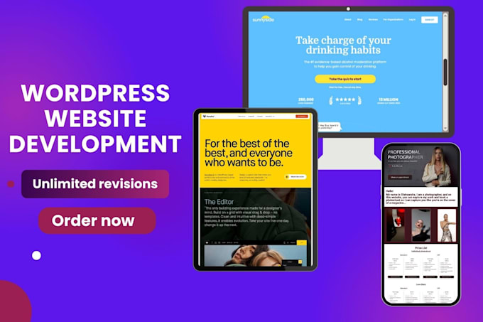 Gig Preview - Develop responsive wordpress websites with a modern design