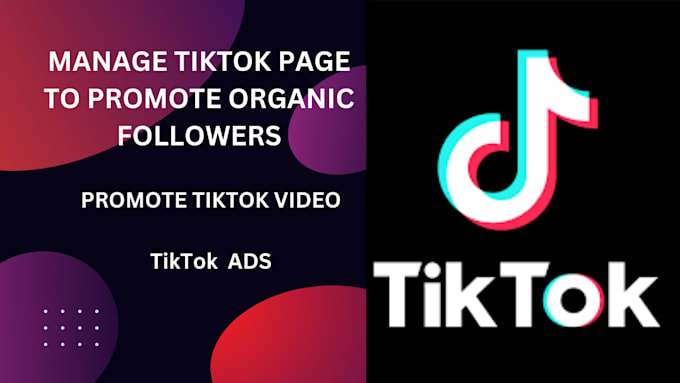 Gig Preview - Manage tiktok page to promote organic followers, promote tiktok video tiktok ads