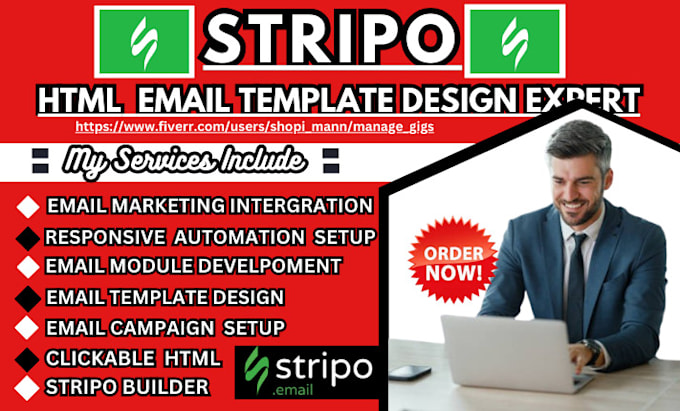 Gig Preview - Design high converting html email template and campaign with stripo, brevo