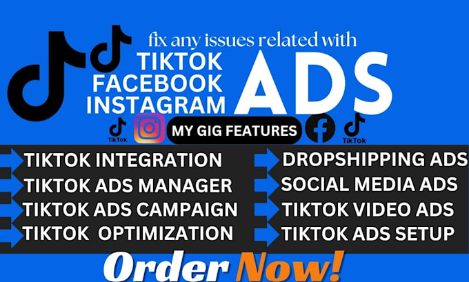 Gig Preview - Setup and fix  tiktok ads, tiktok shop, dropshipping ads, tiktok ads campaign