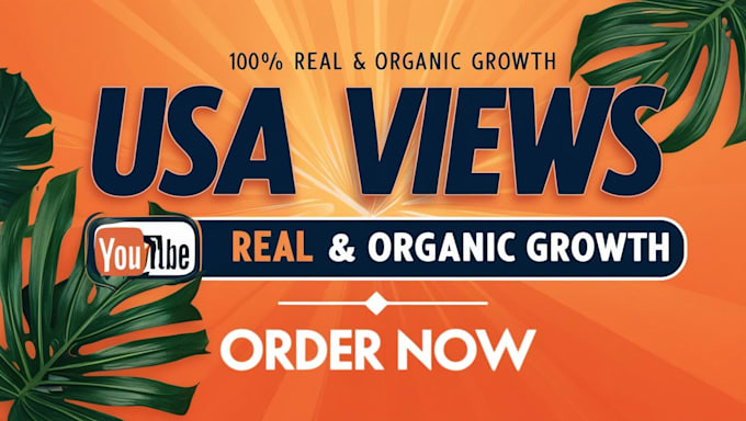 Gig Preview - Organic USA youtube promotion and video promotion to USA targeted audience