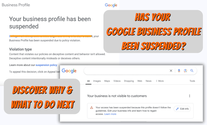 Gig Preview - Help reinstate your suspended google maps business listing with expertise