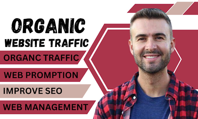 Bestseller - do organic traffic to increase your website promotion