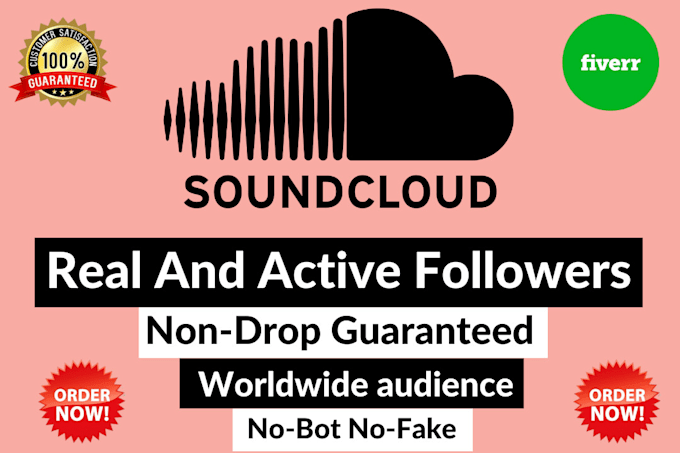 Gig Preview - Promote and increase your soundcloud followers