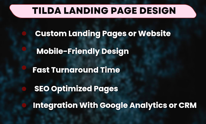 Gig Preview - Design a tilda landing page to boost conversions