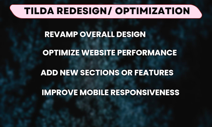 Gig Preview - Redesign or optimize your tilda website for better performance