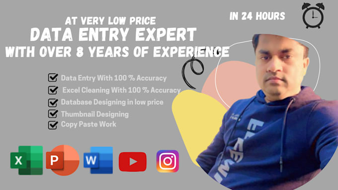 Gig Preview - Do data entry in low price in just 24hrs