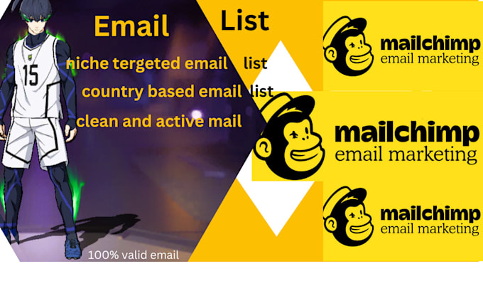 Bestseller - build niche targeted email list and collect targeted real audience active email