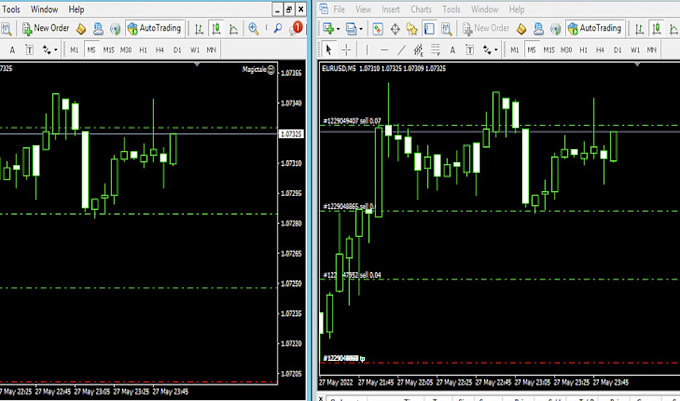 Gig Preview - Decompile ea recompile ea unlock source code ex file mql