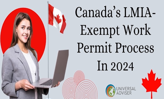 Gig Preview - Help you apply for lmia, work permit and secure your visa in canada