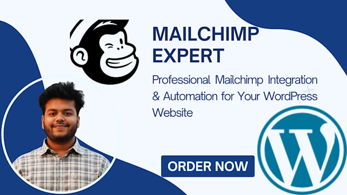 Gig Preview - Integrate mailchimp with wordpress and setup email campaigns