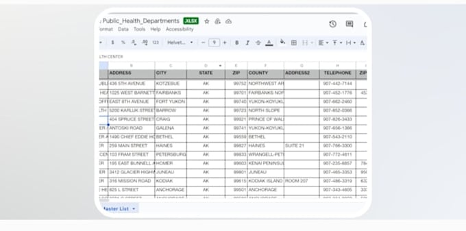 Gig Preview - Do all messy data somthing like this  data entry