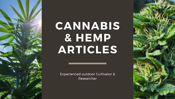 Gig Preview - Write experienced and inclusive cannabis articles