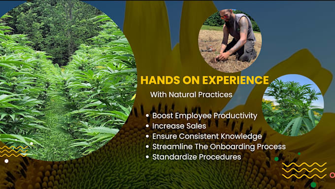 Gig Preview - Create training materials for dispensaries and cultivators