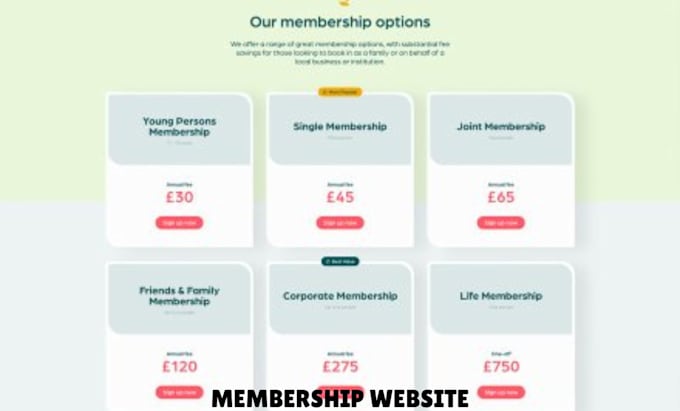 Bestseller - create 3d webflow membership website, memberstack, integrate chatbot livechat