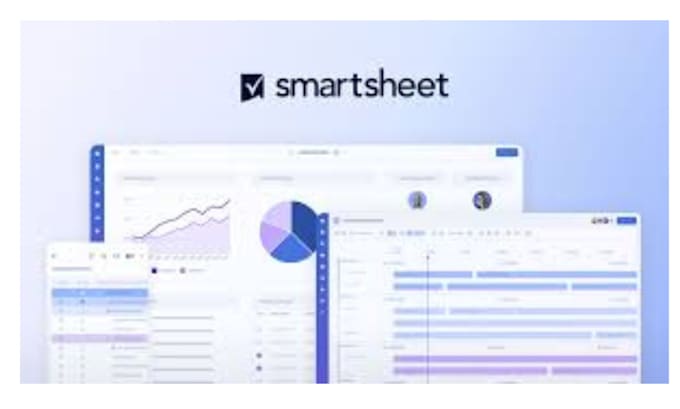 Gig Preview - Be your smartsheet expert for custom dashboards