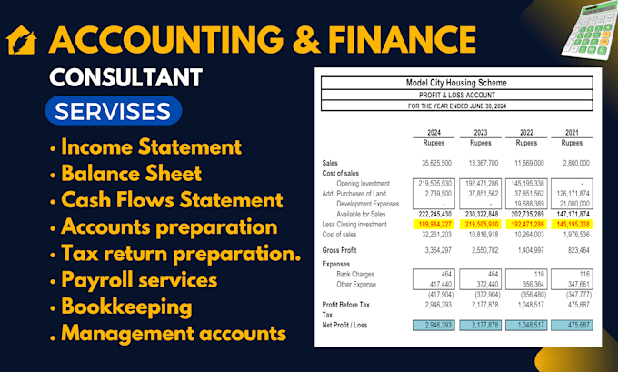 Gig Preview - Prepare your general ledger, trail sheet, balance sheet, financial statements