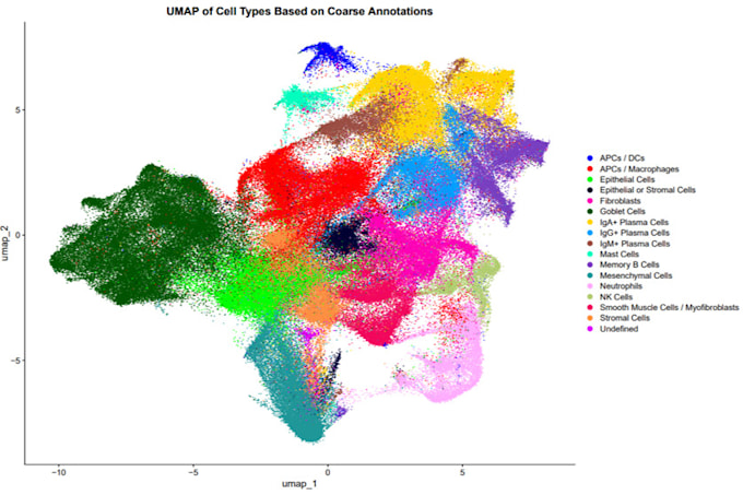 Gig Preview - Help you to conduct bioinformatics analysis in you phd work