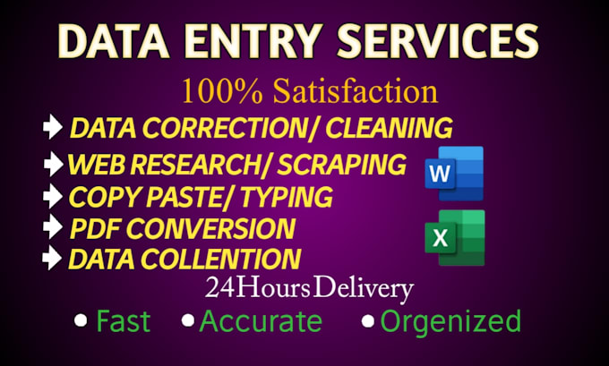 Gig Preview - Do fastest data entry in one day with low price