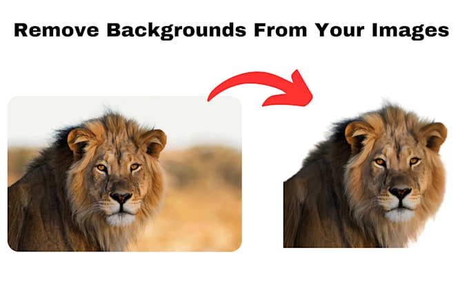 Gig Preview - Remove back ground from your images