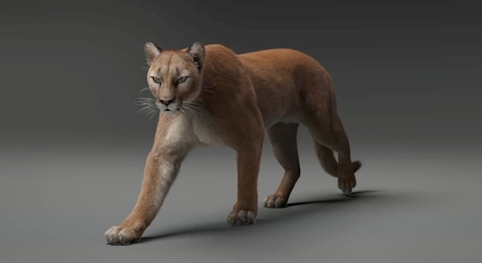 Gig Preview - Integrate cgi vfx 3d animal animation, 3d cgi animal design, 3d animal rigging