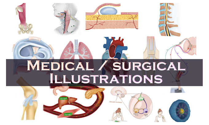 Gig Preview - Do scientific, medical illustration anatomy scientific medical figures, diagrams