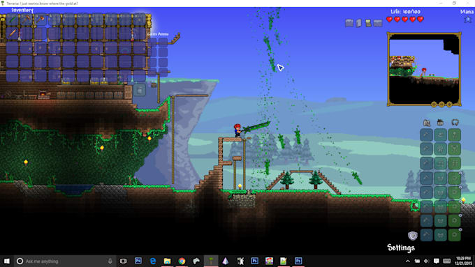 Gig Preview - Make a terraria mod for you