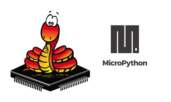 Gig Preview - Do micropython development for iot, embedded systems and prototyping