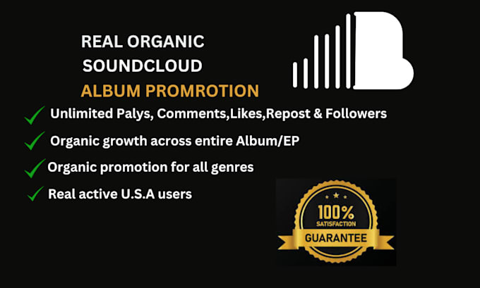 Gig Preview - Do organic soundcloud music promotion viral soundcloud promote soundcloud tracks