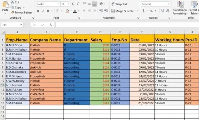 Gig Preview - Clean and format excel data