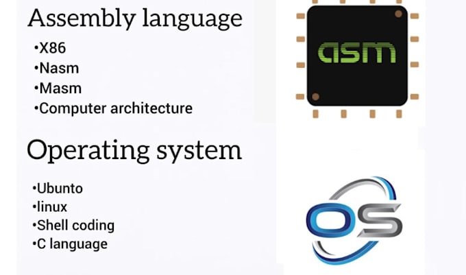 Gig Preview - Do assembly language projects for every architectures