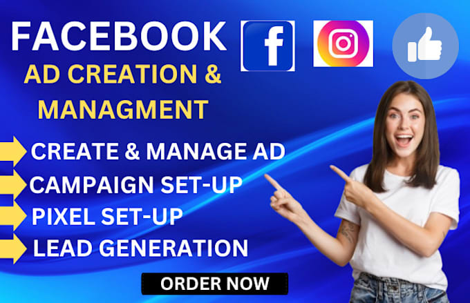 Gig Preview - Setup facebook and instagram ads campaign, run shopify fb advertising