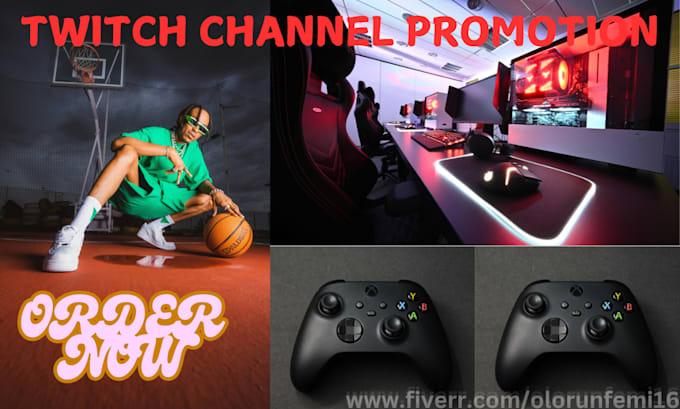 Gig Preview - Promote your twitch channel to gain active viewers and twitch chatters