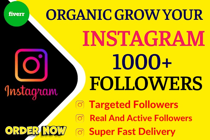 Gig Preview - Do your instagram page followers from usa 1000 number super fast