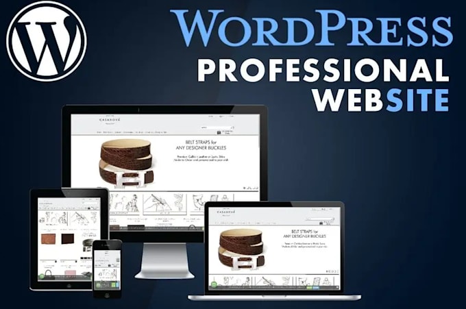 Gig Preview - Build a professional wordpress website