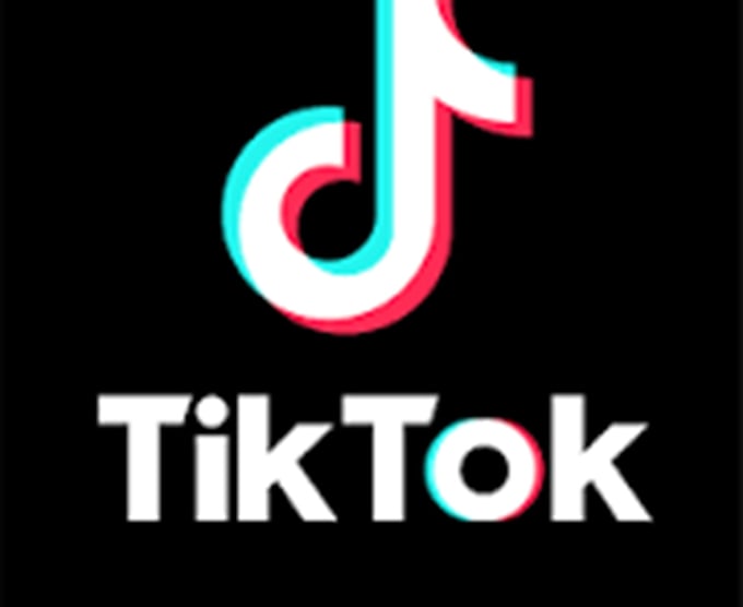 Gig Preview - Do tiktok dance, christmas dance, dance video, dance choreography, group dance