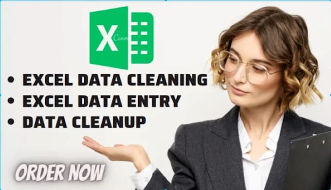 Bestseller - do data cleaning in excel and data entry excel