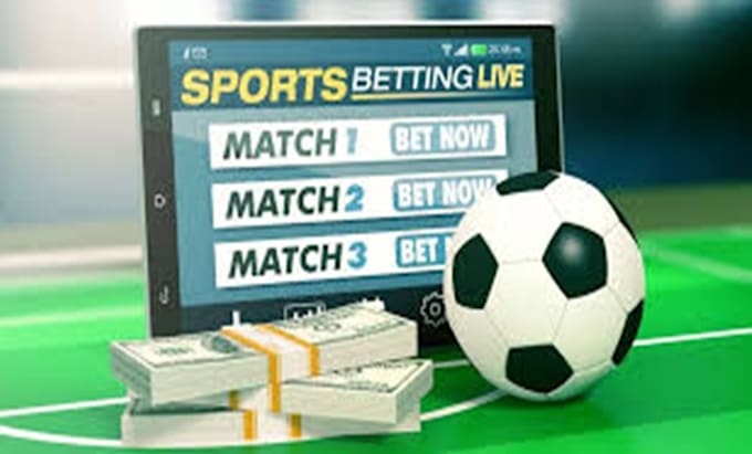 Gig Preview - Build sport bet app, bet app, sport bet website, crypto sport app sport app