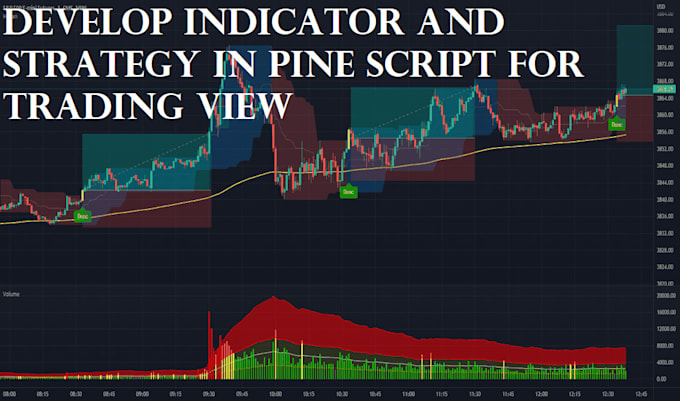 Gig Preview - Develop any indicator or strategy in trading view pinescript