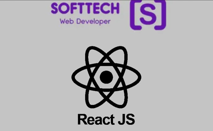 Gig Preview - Do react js customization