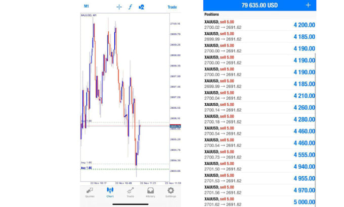 Gig Preview - Do forex bot, forex trading bot, trading robot, ea bot, gold ea