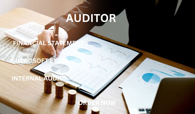 Gig Preview - Be your auditor for your financial statement