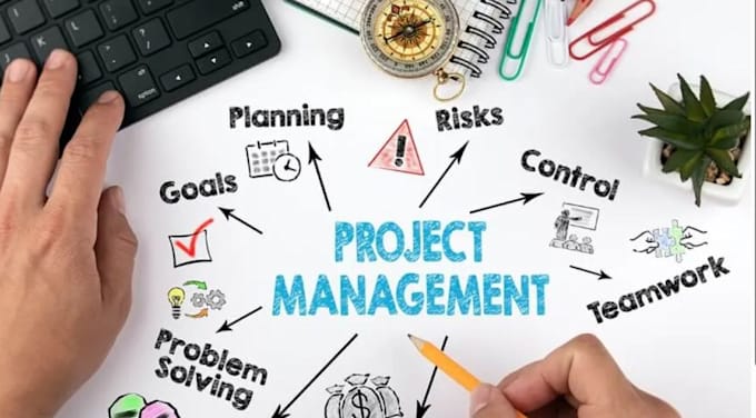 Bestseller - manage projects and deliver on time and within budget