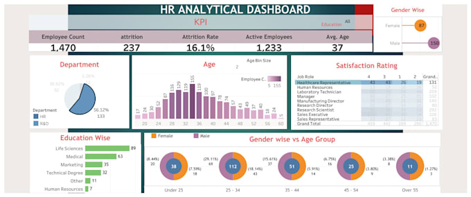 Gig Preview - Build professional data visualization insightful dashboards